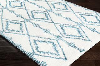 Surya Kodiak KDK-1036 Area Rug Corner Image