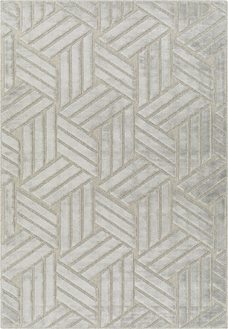 Surya Kingston KGS-2303 Area Rug main image