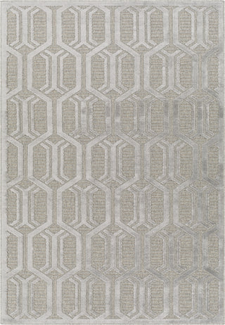 Surya Kingston KGS-2305 Area Rug main image