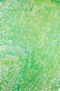 Dalyn Kikiamo KK5 Lime-In Area Rug main image