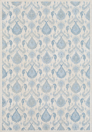 Surya Kilim KLM-2300 Denim White Khaki Area Rug main image