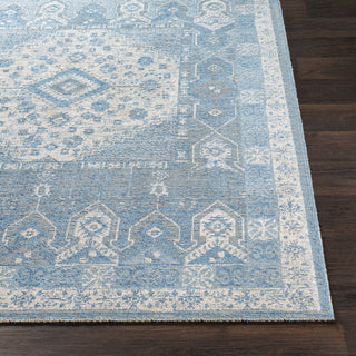 Surya Kilim KLM-2309 Area Rug 