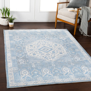 Surya Kilim KLM-2309 Area Rug Room Scene Feature