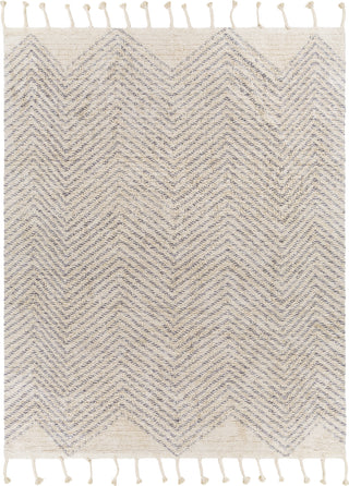 Surya Khemisset KMS-2303 Area Rug Main