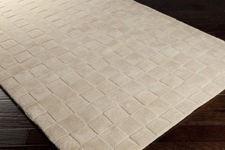 Surya Kinetic KNT-3013 Area Rug 5x8 Corner