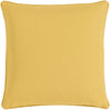Surya Burst Bold KSB-002 Pillow by Kate Spain 