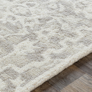 Surya Kayseri KSR-2310 Area Rug Texture 