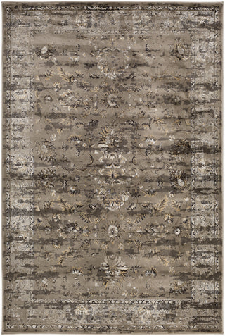 Kaitlyn KTN-1005 Brown Machine Woven Area Rug by Surya