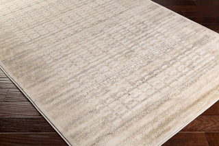 Surya Kaitlyn KTN-1007 Area Rug Corner Image