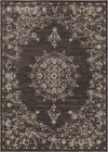 Surya Kaitlyn KTN-1012 Dark Brown Khaki Beige Area Rug Main Image 8 X 10