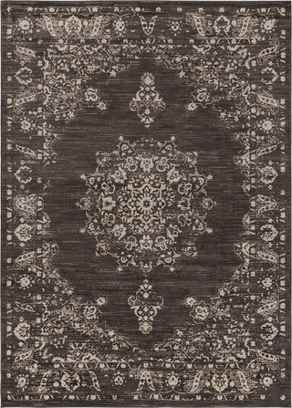 Surya Kaitlyn KTN-1012 Dark Brown Khaki Beige Area Rug Main Image 8 X 10