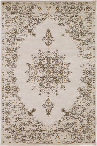 Surya Kaitlyn KTN-1014 Wheat Dark Brown Ivory Area Rug main image