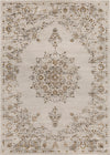 Surya Kaitlyn KTN-1014 Wheat Dark Brown Ivory Area Rug Main Image 8 X 10