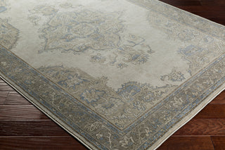 Surya Kaitlyn KTN-1020 Area Rug Corner Image Feature