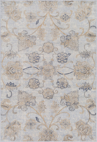 Surya Kaitlyn KTN-1021 Sky Blue Wheat Navy Dark Brown Ivory Area Rug main image