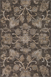 Surya Kaitlyn KTN-1023 Dark Brown Wheat Ivory Area Rug main image