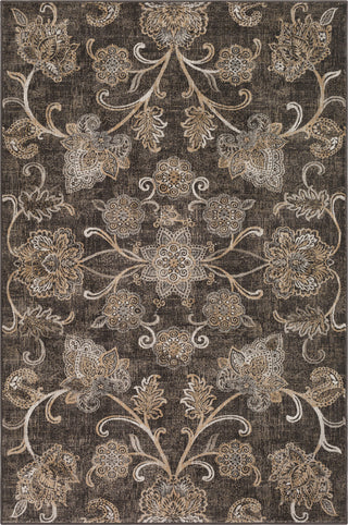 Surya Kaitlyn KTN-1023 Dark Brown Wheat Ivory Area Rug main image