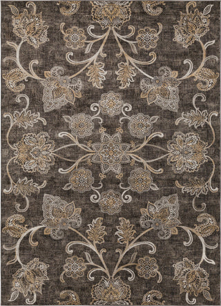 Surya Kaitlyn KTN-1023 Dark Brown Wheat Ivory Area Rug Main Image 8 X 10