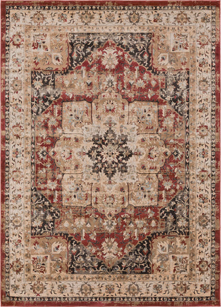 Surya Kaitlyn KTN-1025 Brick Sage Ivory Wheat Sky Blue Dark Brown Area Rug Main Image 8 X 10