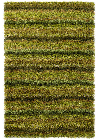 Chandra Kubu KUB-16501 Green/Brown Area Rug main image