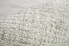 Bashian Luminous L124-LM107 Ivory Area Rug