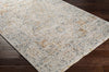 Livabliss Laila LAA-2312 Area Rug
