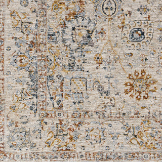 Livabliss Laila LAA-2317 Area Rug