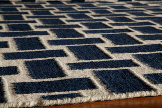 Momeni Laguna LG-02 Navy Area Rug Corner Shot