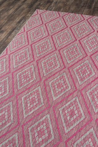 Momeni Lake Palace LAK-1 Pink Area Rug by MADCAP Corner Image Feature