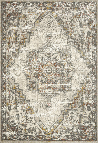 Loloi Landscape LAN-01 Sand/Graphite Area Rug Main Image