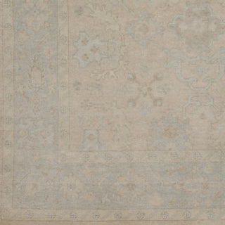 Surya Lara LAR-7703 Hand Knotted Area Rug Sample Swatch