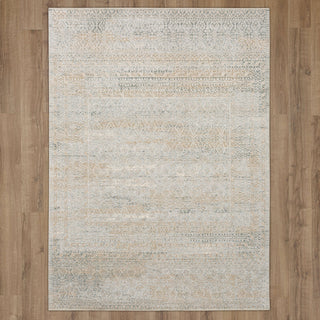 Karastan Solitude Larnaca Dark Grey Cream Area Rug Main Image