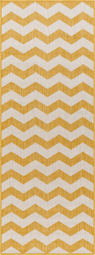 Surya Long beach LBH-2312 Area Rug Main