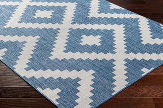 Surya Long beach LBH-2314 Area Rug Corner Shot