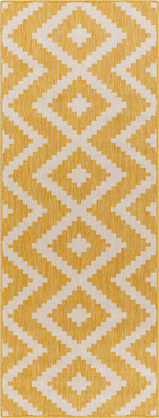 Surya Long beach LBH-2316 Area Rug Main