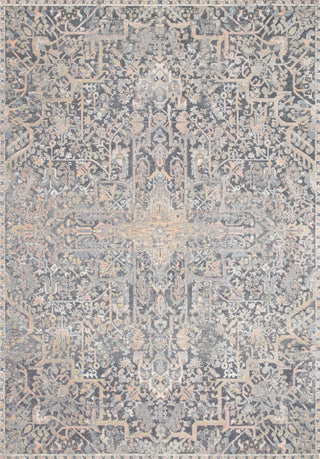 Loloi II Lucia LUC-02 Charcoal/Multi Area Rug Main Image