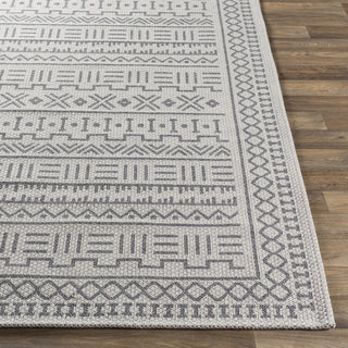 Surya La Casa LCS-2302 Area Rug