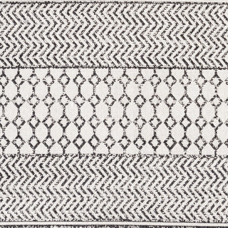 Livabliss La Casa LCS-2306 Area Rug