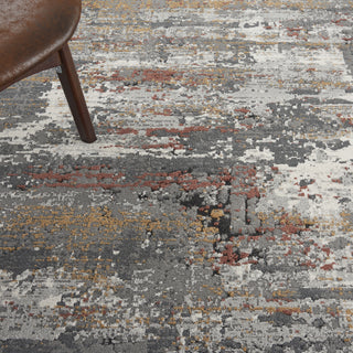 Nourison Ludlow LDW02 Grey/Multi Area Rug