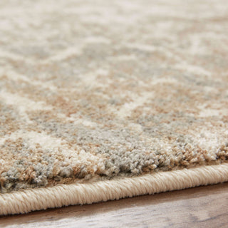 Karastan Touchstone Le Jardin Hazelnut Area Rug by Patina Vie Detail Image