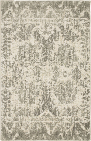 Karastan Touchstone Le Jardin Willow Gray Area Rug by Patina Vie Main Image