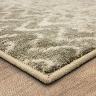 Karastan Touchstone Le Jardin Willow Gray Area Rug by Patina Vie Main Image