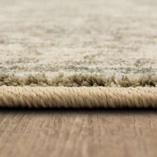 Karastan Touchstone Le Jardin Willow Gray Area Rug by Patina Vie Detail Image