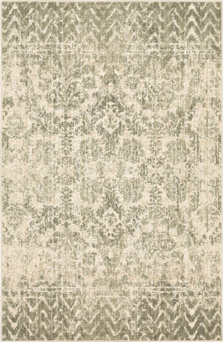 Karastan Touchstone Le Jardin Willow Gray Area Rug by Patina Vie Main Image