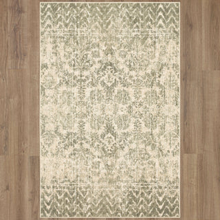 Karastan Touchstone Le Jardin Willow Gray Area Rug by Patina Vie Main Image