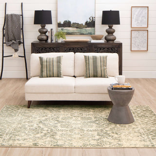 Karastan Touchstone Le Jardin Willow Gray Area Rug by Patina Vie Main Image