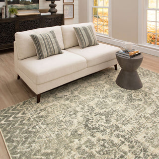 Karastan Touchstone Le Jardin Willow Gray Area Rug by Patina Vie Main Image