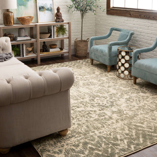 Karastan Touchstone Le Jardin Willow Gray Area Rug by Patina Vie Lifestyle Image