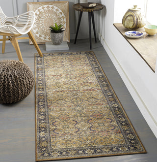 Surya Leicester LEC-2305-Machine Washable Area Rug Room Scene Feature