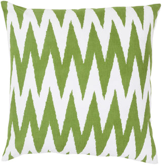 Surya Vibe Eye-Catching Chevron LG-524 Pillow 18 X 18 X 4 Down filled